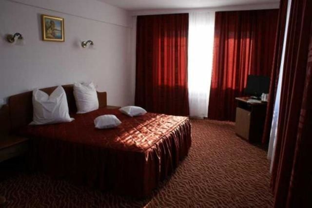 Отель Hotel Flora Дробета-Турну- Севери-17
