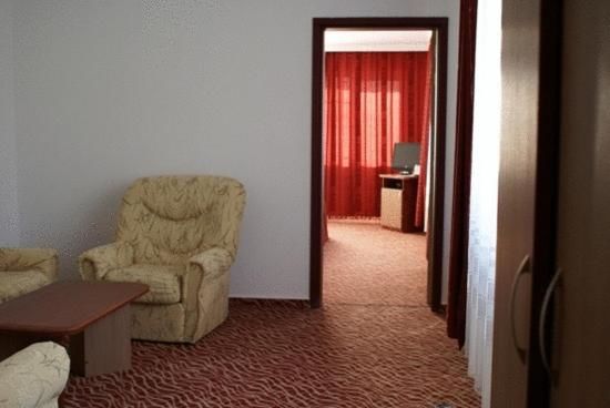 Отель Hotel Flora Дробета-Турну- Севери-22